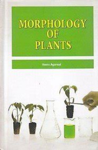 Morphology Of Plants