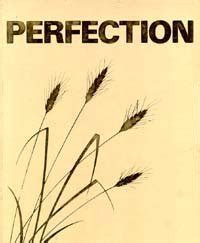 Perfection: The Impossible Possibility