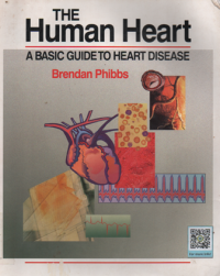 The human heart: a basic guide to heart disease